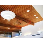 REPLACEMENT FOR WOOD CEILING DURABILITY AND TERMESTY-PROOF 1